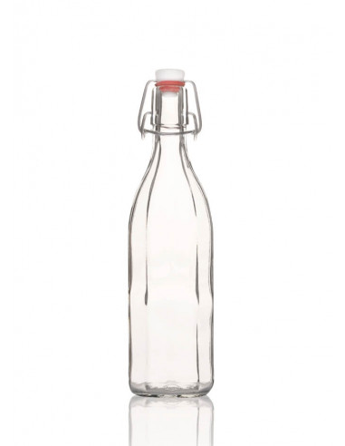 0.500 l Saftflasche 10-Kant (6er Pack)