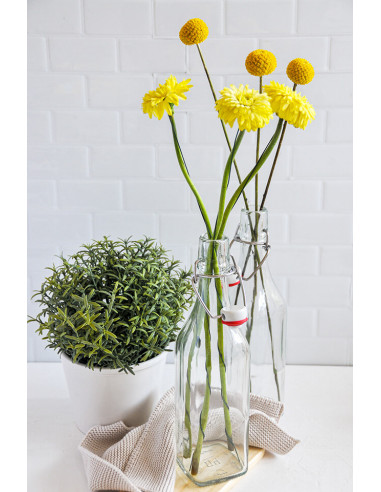 250ml SAFTFLASCHE 4you inkl.... 250ml SAFTFLASCHE 4you inkl....