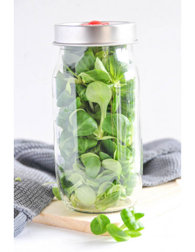 Vakuum Verschluss für GPI56 Vakuum Verschluss für GPI56