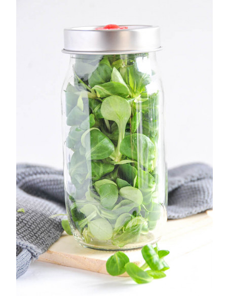 Vakuum Verschluss für GPI70