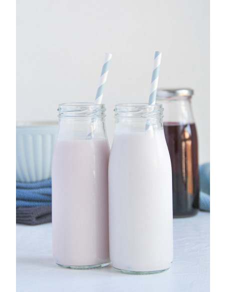 250ml SAFTFLASCHE inkl. Deckel (6er)