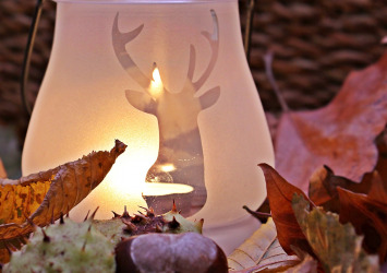 DIY Herbstdeko