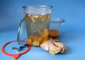 Ginger-Bug